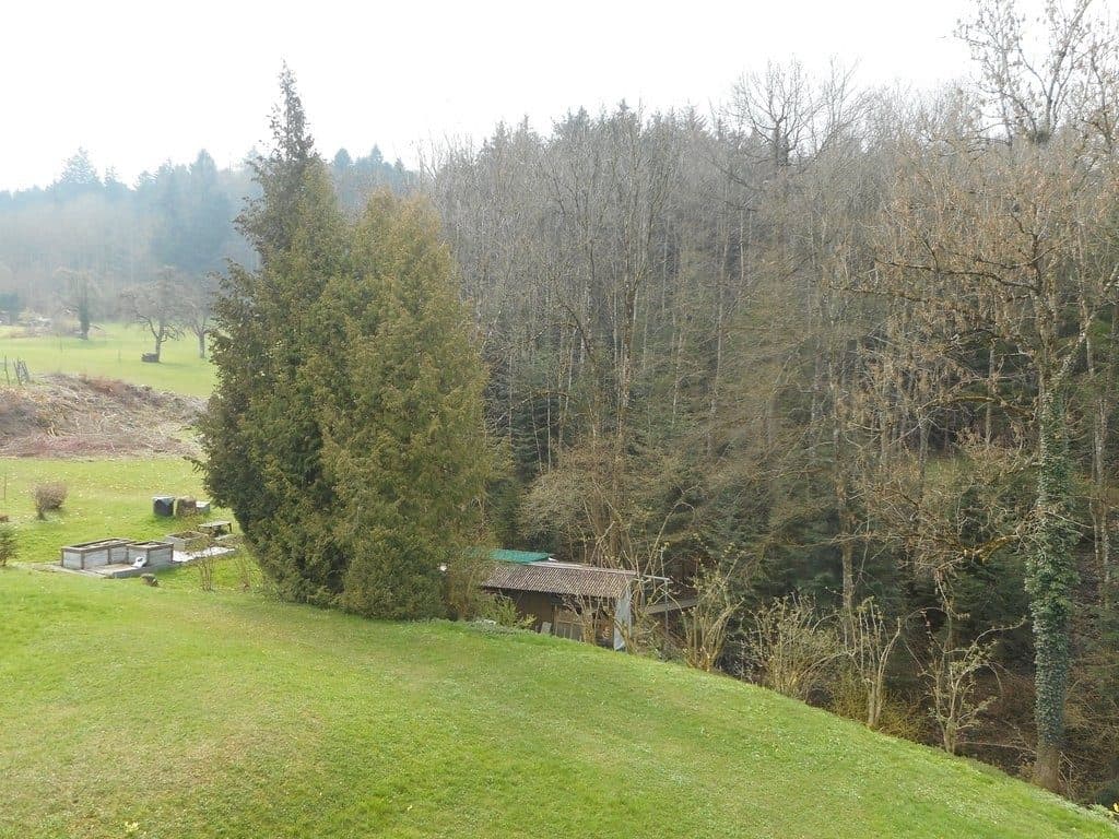 Ruhig Wohnen in Wittenbach