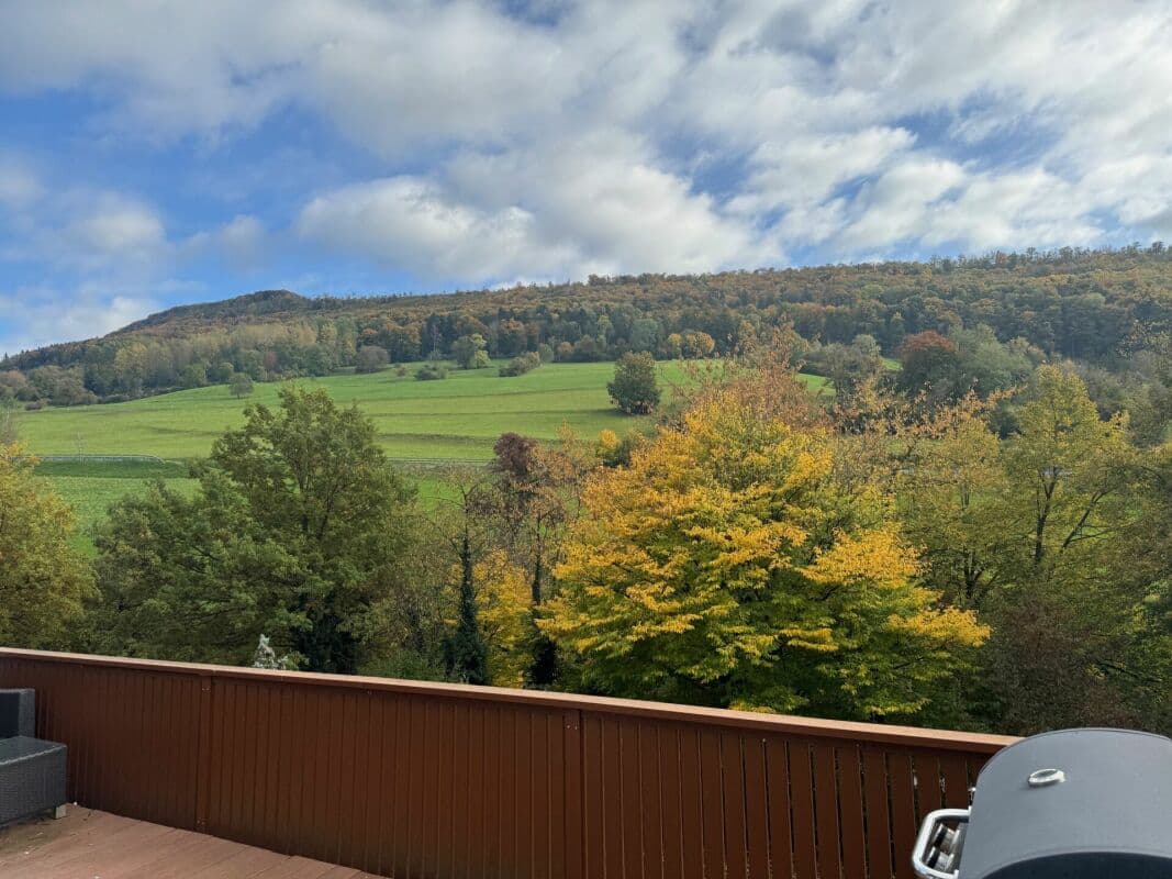 Helles 5.5-Zimmer-Haus an sonniger Hanglage mit unverbaubarer Fernsicht