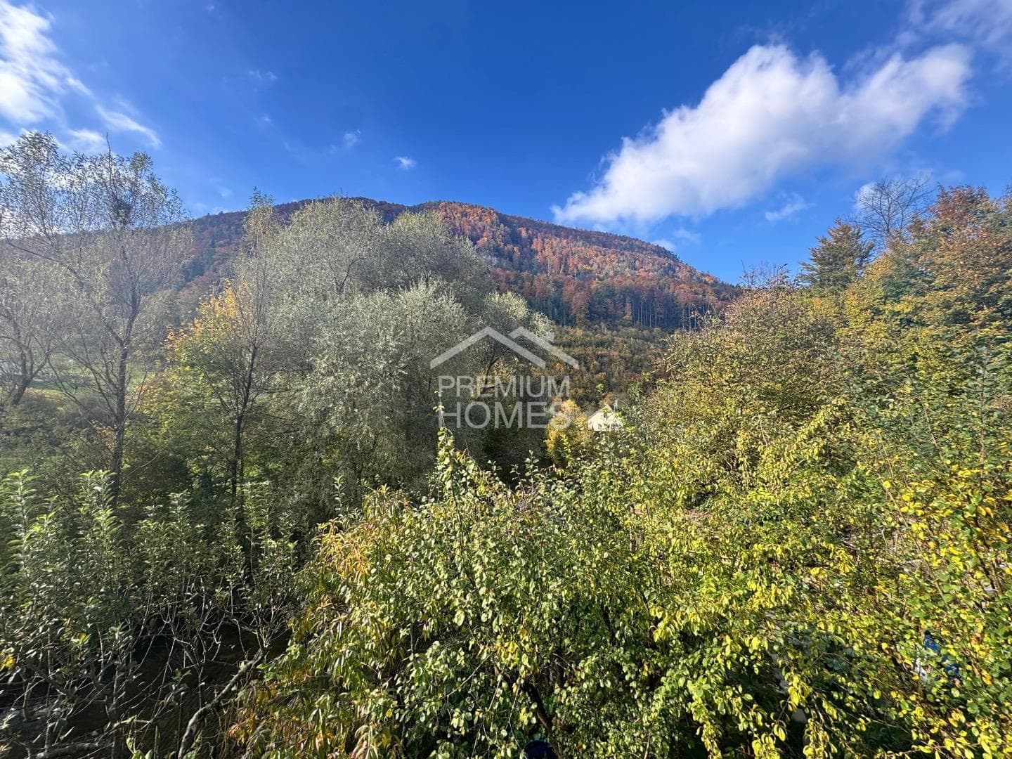 Charme et nature à Roches