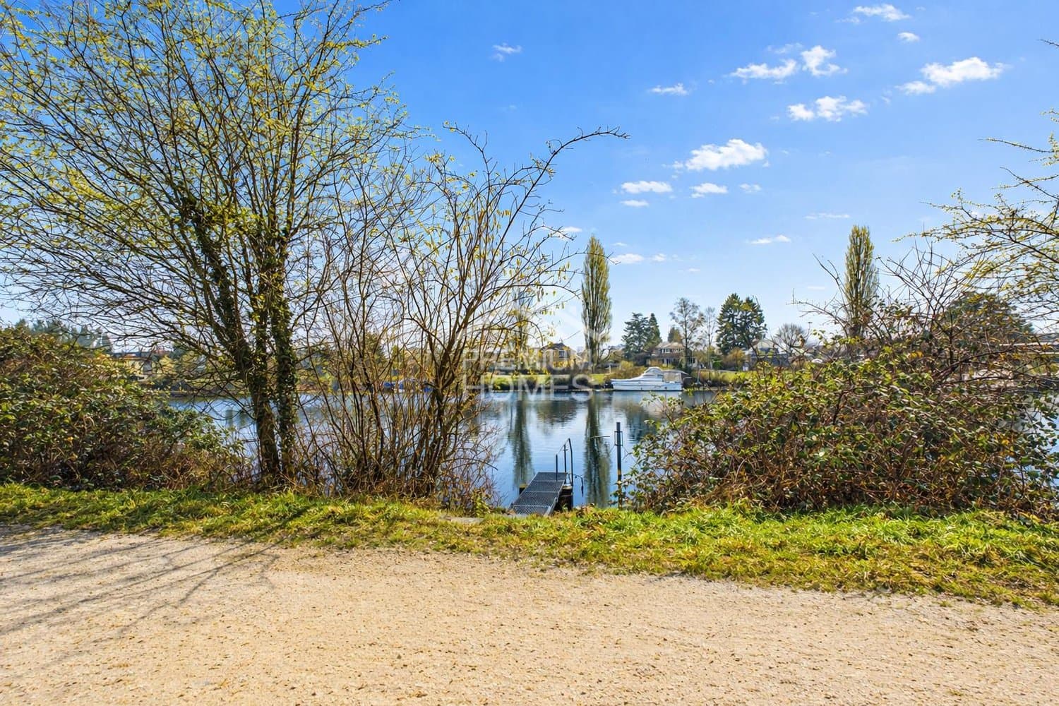 Natur pur an der Aare