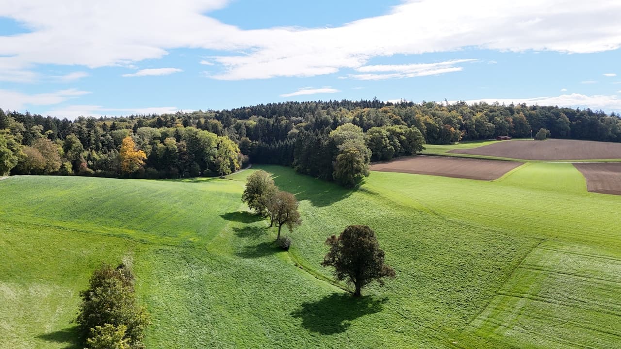 Stilvolle 3,5 Zimmer-Neubauwohnung in sonniger Waldrandlage