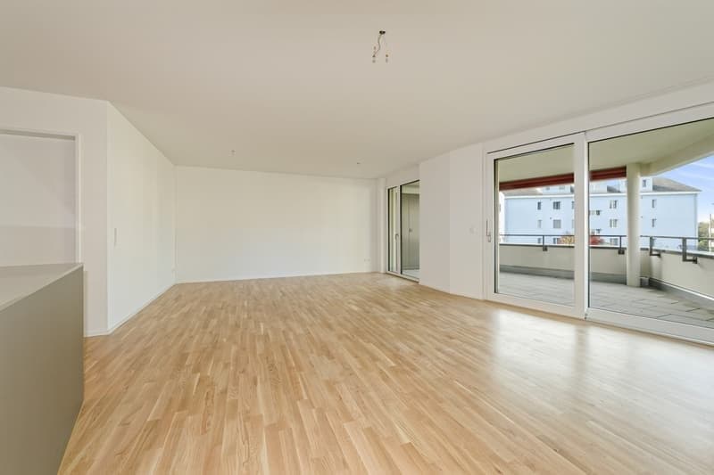 Neubauwohnung an traumhafter Lage direkt am Seeufer in Rapperswil-Jona