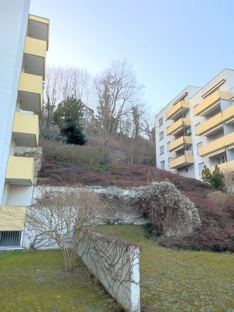 Helle 4-Zimmerwohnung  frisch gestrichen, grünes Umfeld